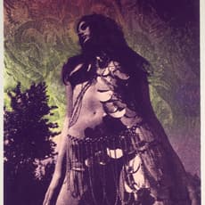 William Weege