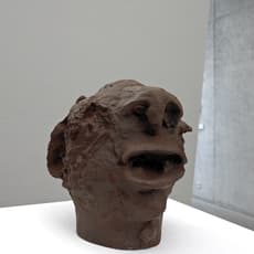 Renzo Martens