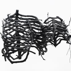 Gerhard Marx