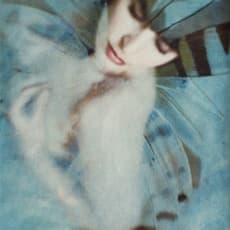 Wendi Schneider