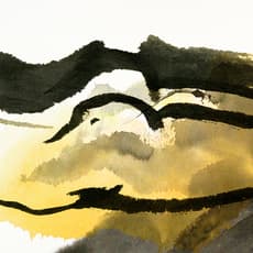 Darius MA
