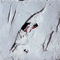 Mario Arlati