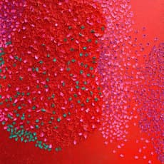Sung Hee Cho