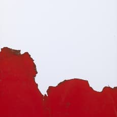 Bernard Aubertin