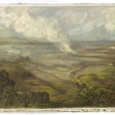 Tinus Vermeersch