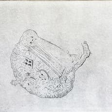 Aki Sung Oi Yau