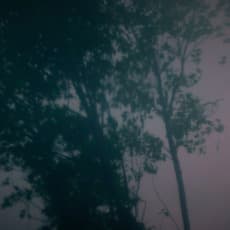 Tang Chao