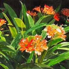 Denby Meyer