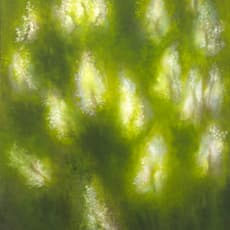 Loren MacIver