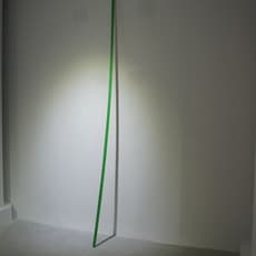 Lei Hong