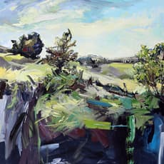 Julie Himel