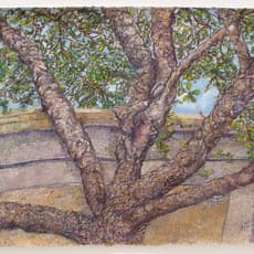 Beth Secor