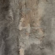 Yueying Zhong