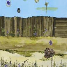 John Lurie