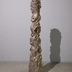 Shigeo Toya