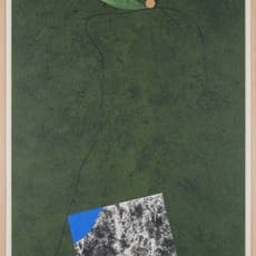 Flavio Paolucci