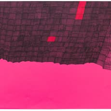 Susan Janow