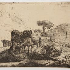 Jacob van der Does