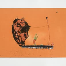 Roy Mordechay
