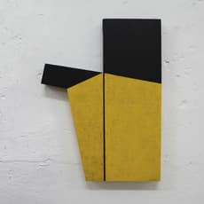 Silvia Lerin