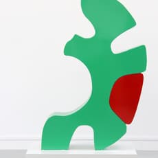 Haneyl Choi