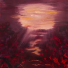 Mary Shah