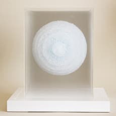 Claire Cohen