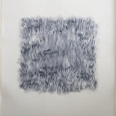 Edda Renouf