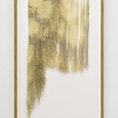 Charlotte Walentin