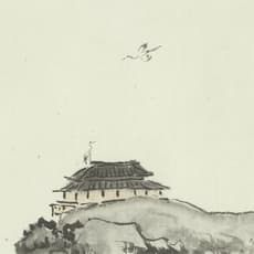 LIN HAIZHONG