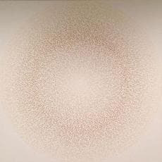 A.J. Oishi