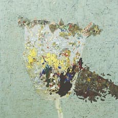 Chen Wenguang