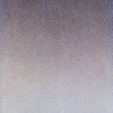Gunter Sylvestor Christmann