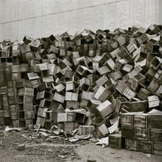 Vivian Maier