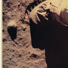 Buzz Aldrin