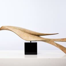 Anna Malvisi White