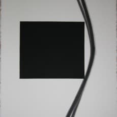 Jose Loureiro