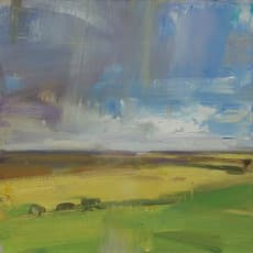 David Shevlino