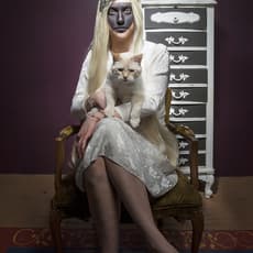 Alison Brady