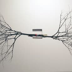 Kwansoo Kim