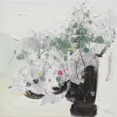Jin Jie