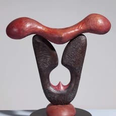 Wu Shaoxiang