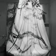 Shen Aiqi