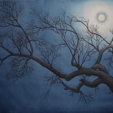 Wu Lan-Chiann