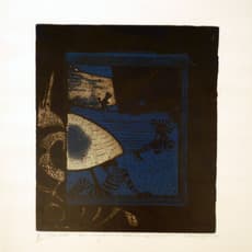 Camille Billops