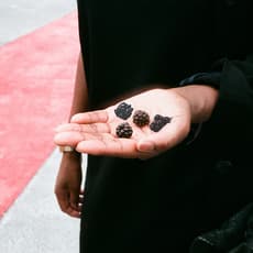 Johanna Tagada