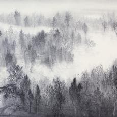 Hua Xin Xu