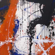 Norman Bluhm