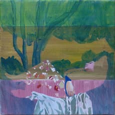 Delphine Rocher