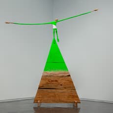 ABE Nyubo